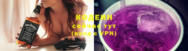 прущие грибы Балабаново