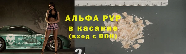 прущие грибы Балабаново