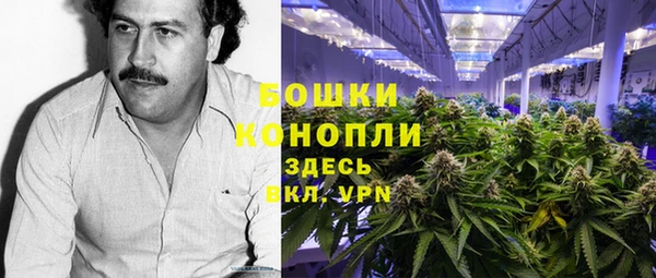 гидра Балахна