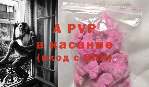 гидра Балахна