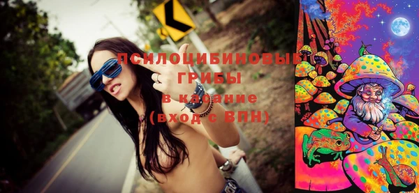 прущие грибы Балабаново