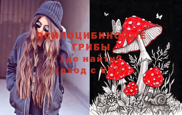прущие грибы Балабаново