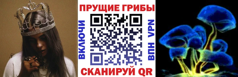 Псилоцибиновые грибы Psilocybine cubensis  omg   Салаир  закладки 